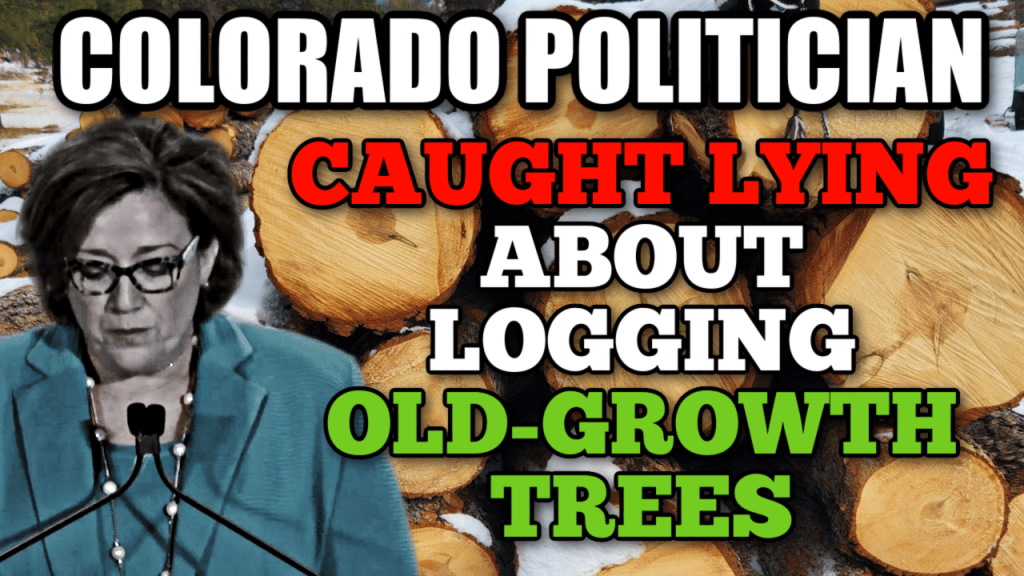 VIDEO: Colorado Politician Falsely Denies Logging Old-Growth&nbsp;Trees