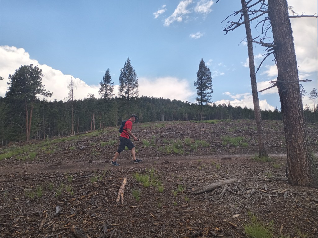 Wildfire/Forests Letter to the Editor + Commentary in 7 Colorado&nbsp;Newspapers