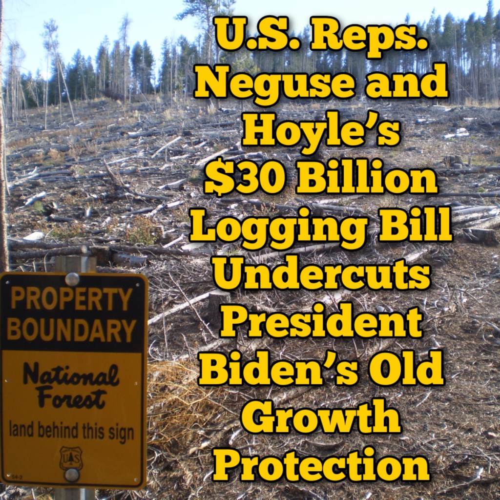 US Reps. Neguse (D-CO) and Hoyle’s (D-OR) $30 Billion Logging Bill Undercuts President Biden’s Old Growth&nbsp;Protection