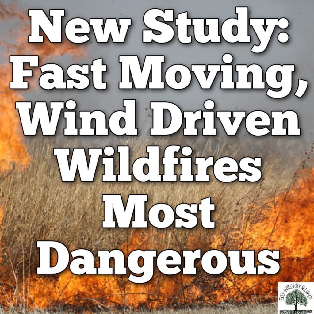 CU BOULDER STUDY: Fast Moving, Wind Driven Wildfires Most Dangerous
