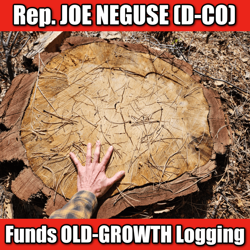 Grant from U.S. Rep. Joe Neguse (D-CO) Funds Old-Growth&nbsp;Logging