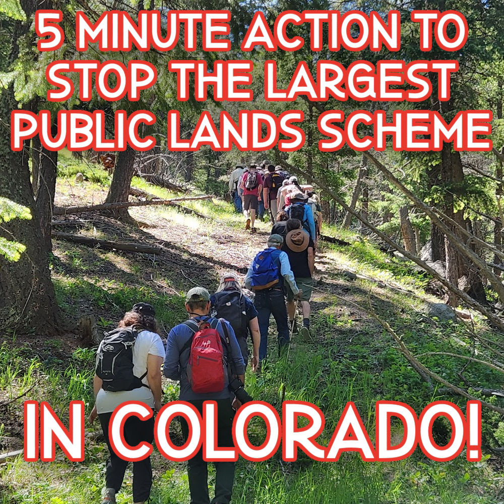 5 Minute Action to Stop the Largest Public Lands Scheme in&nbsp;Colorado