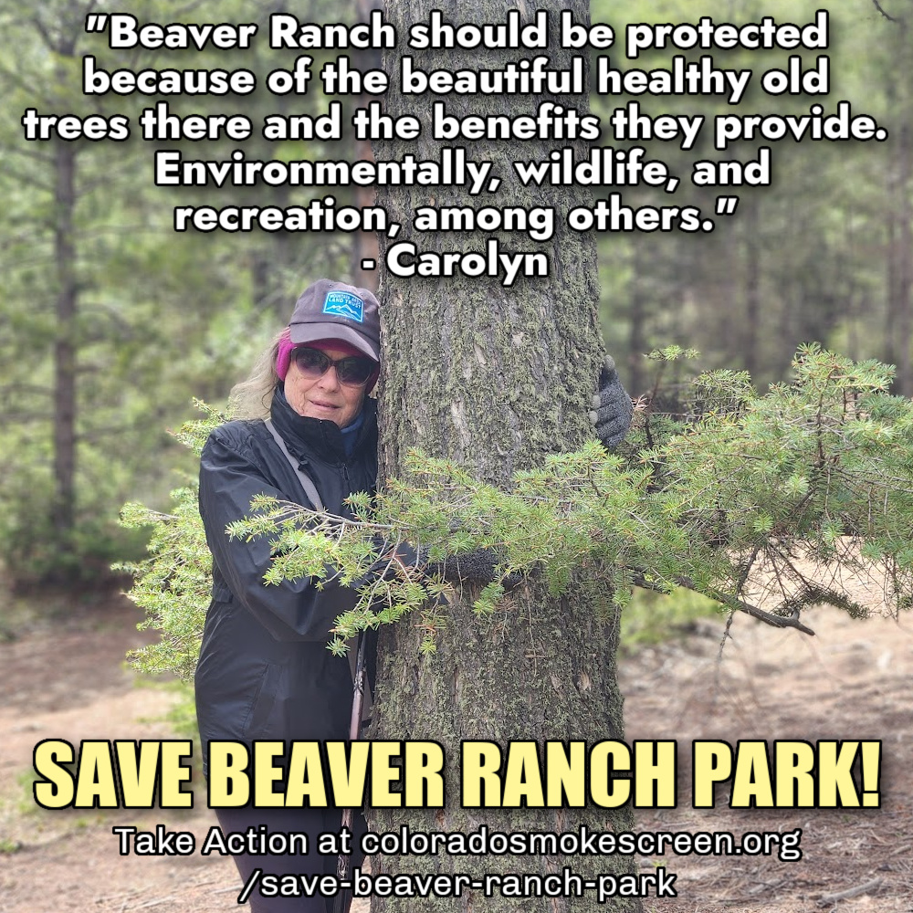 VOICES OF BEAVER RANCH PARK #1:&nbsp;CAROLYN