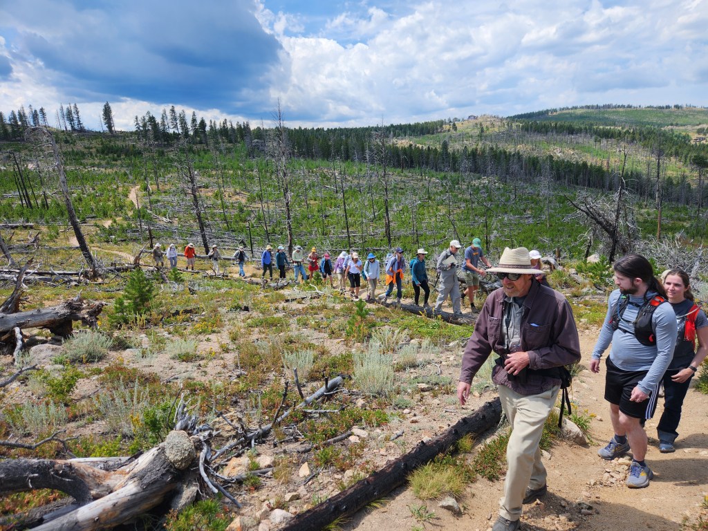 Dave Hallock: Focus more on home hardening less on forest&nbsp;management