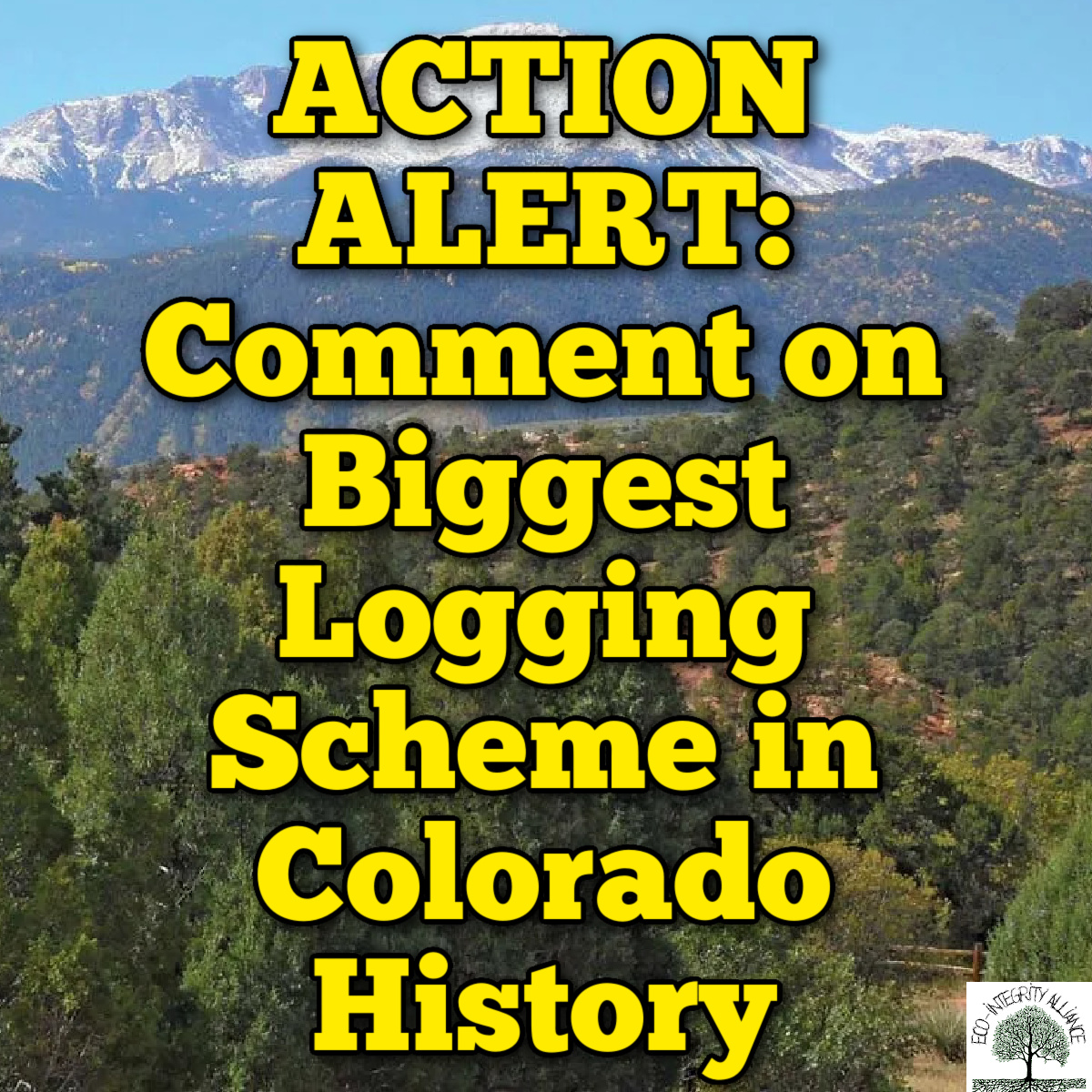 ACTION ALERT: Comment on Biggest Logging Scheme in Colorado History by December&nbsp;17