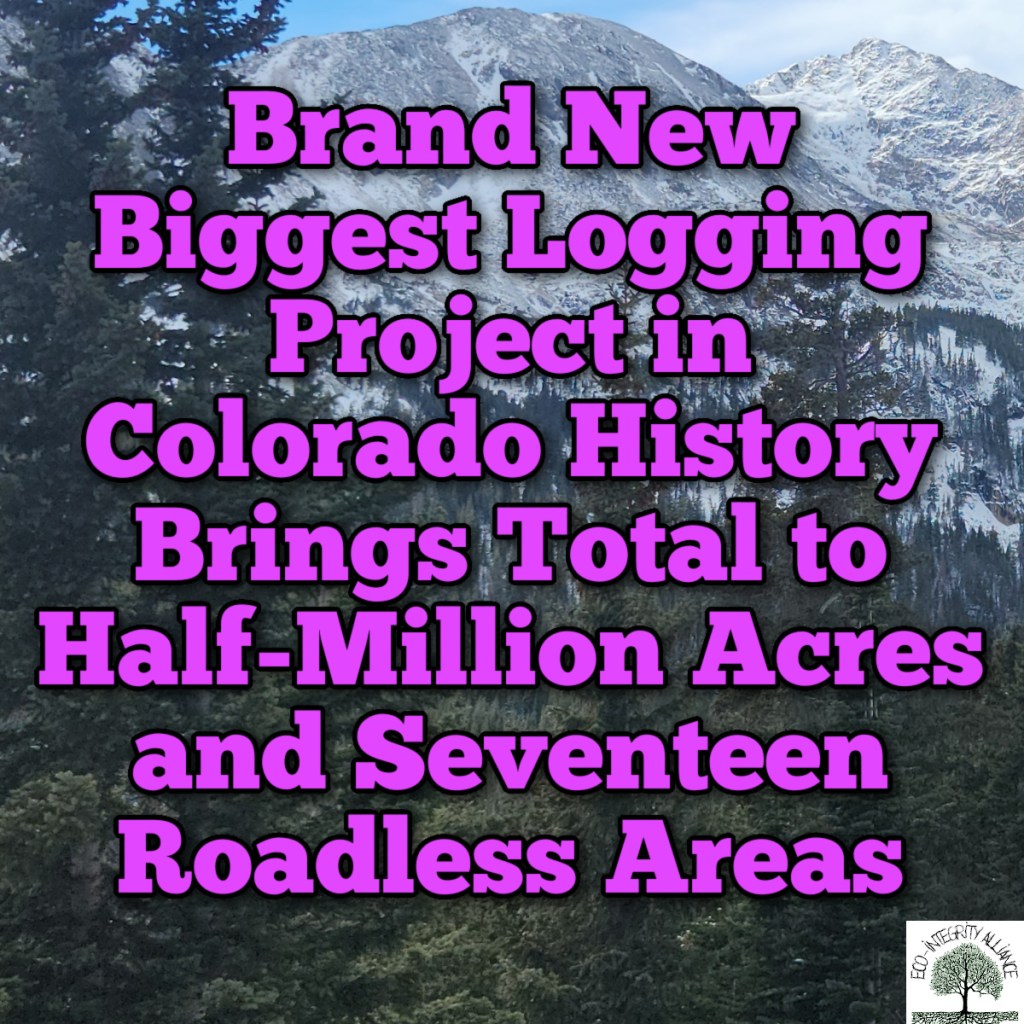 Brand New “Biggest Logging Project in Colorado History” Brings Front Range Total to Half-Million Acres and Seventeen Roadless&nbsp;Areas
