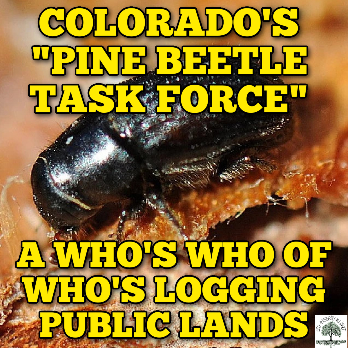 Colorado’s “Pine Beetle Task Force”: A Who’s Who of Who’s Logging Public&nbsp;Lands