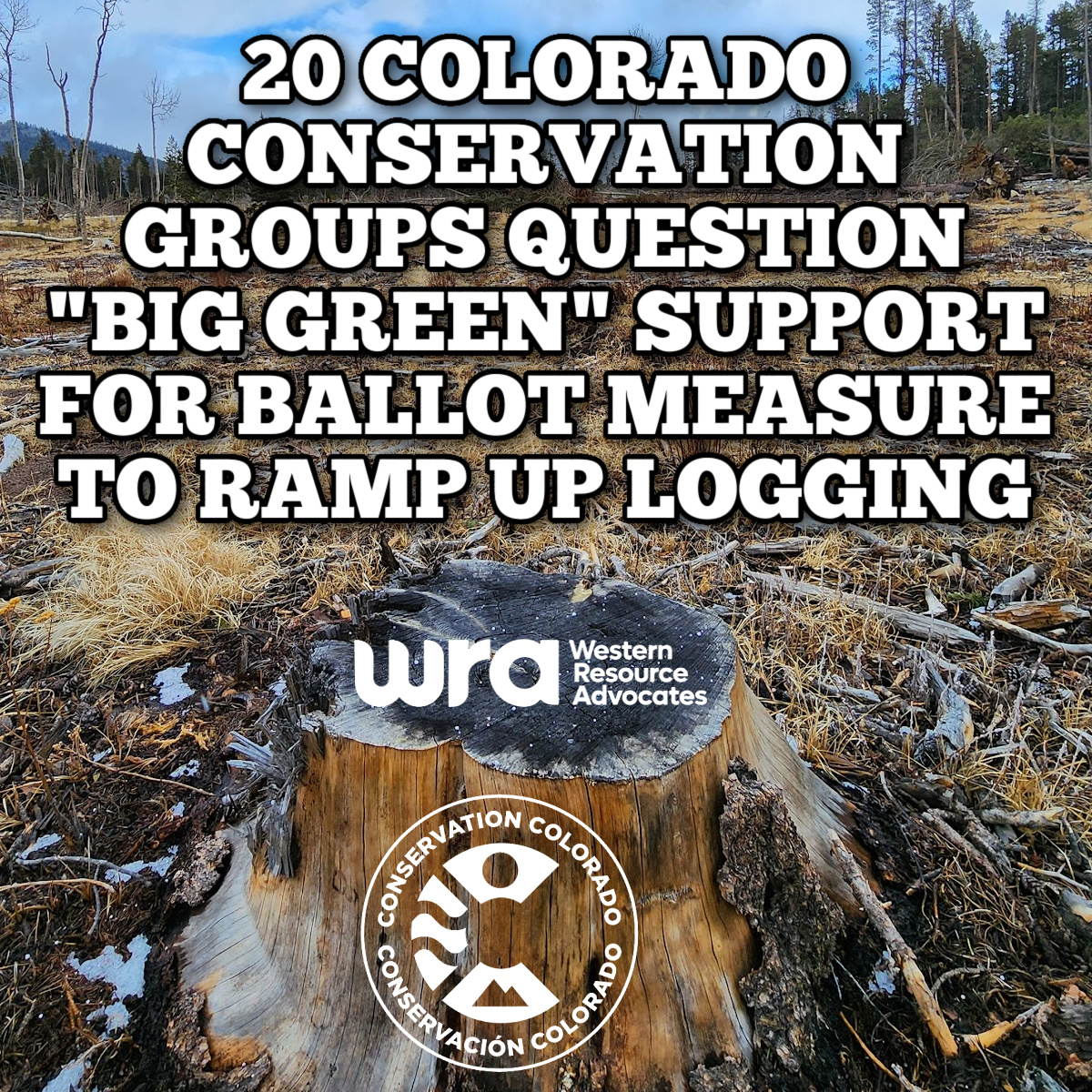 Twenty Colorado Conservation Groups Question “Big Green” Support for Ballot Measure to Ramp Up Public Lands&nbsp;Logging