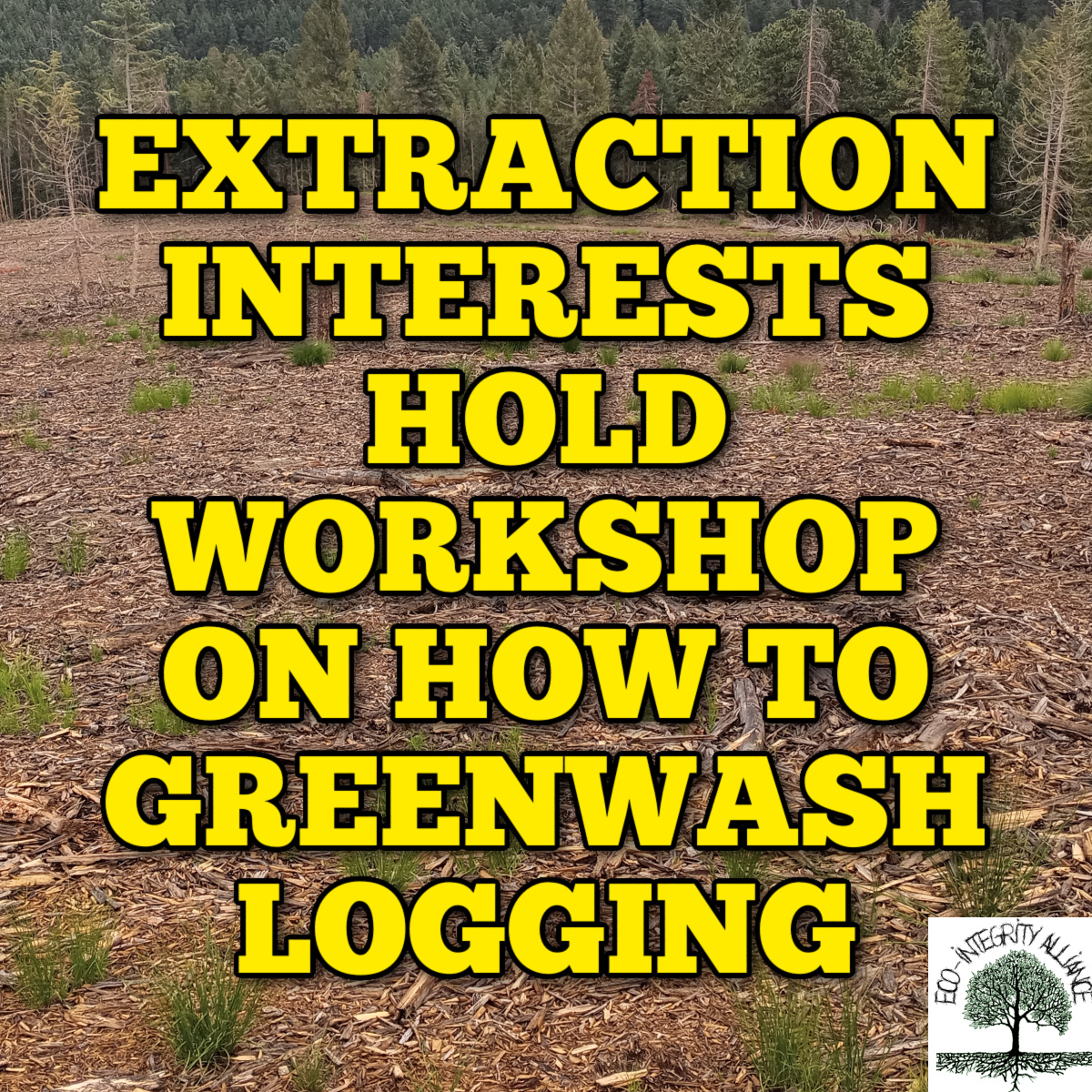 Extraction Interests Hold Workshop on How to Greenwash&nbsp;Logging