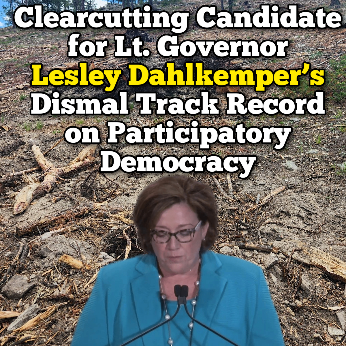 Pro-Clearcutting Candidate for Lieutenant Governor Lesley Dahlkemper’s Dismal Track Record on Participatory&nbsp;Democracy