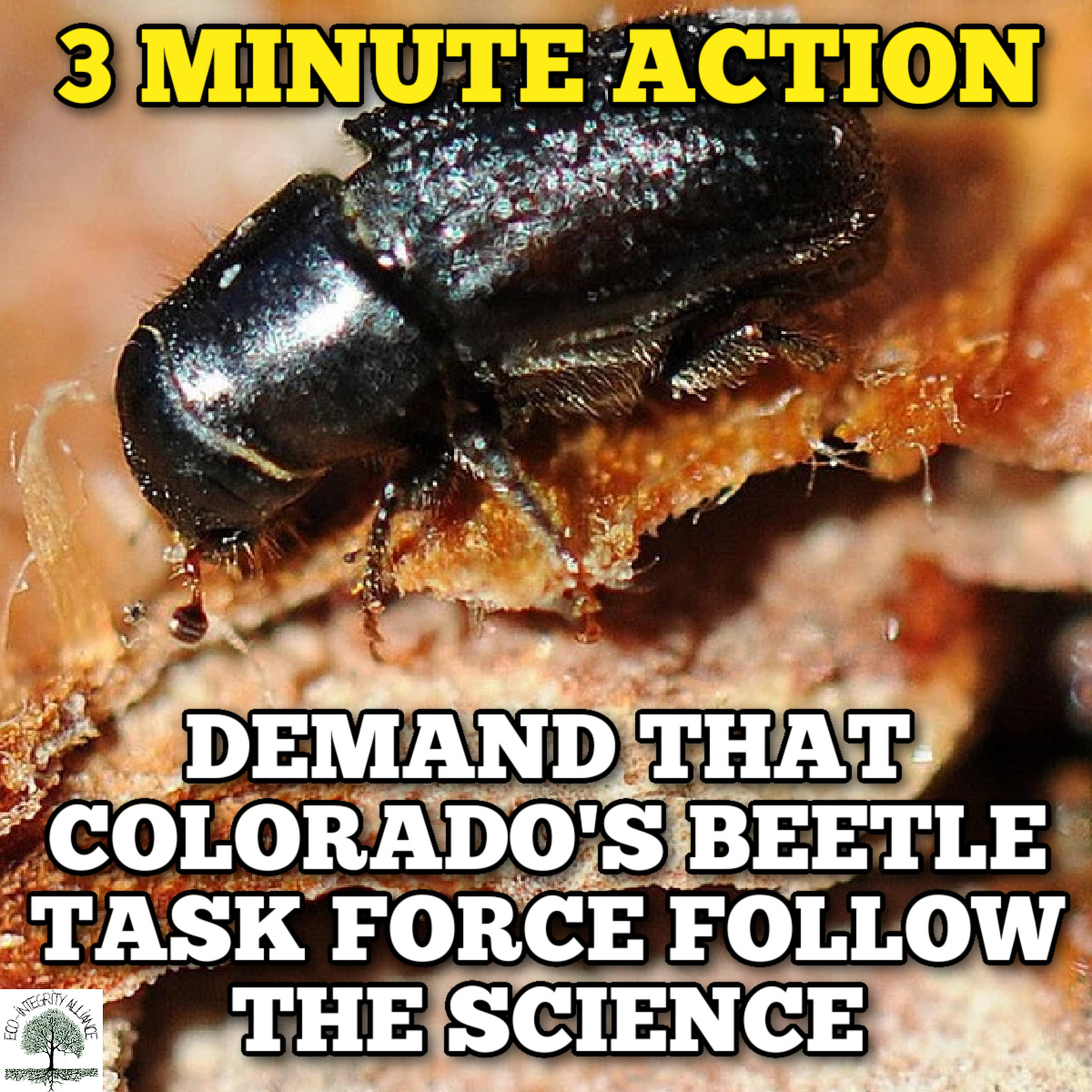 3 Minute Action: Demand that the Colorado “Beetle Task Force” Follow the&nbsp;Science